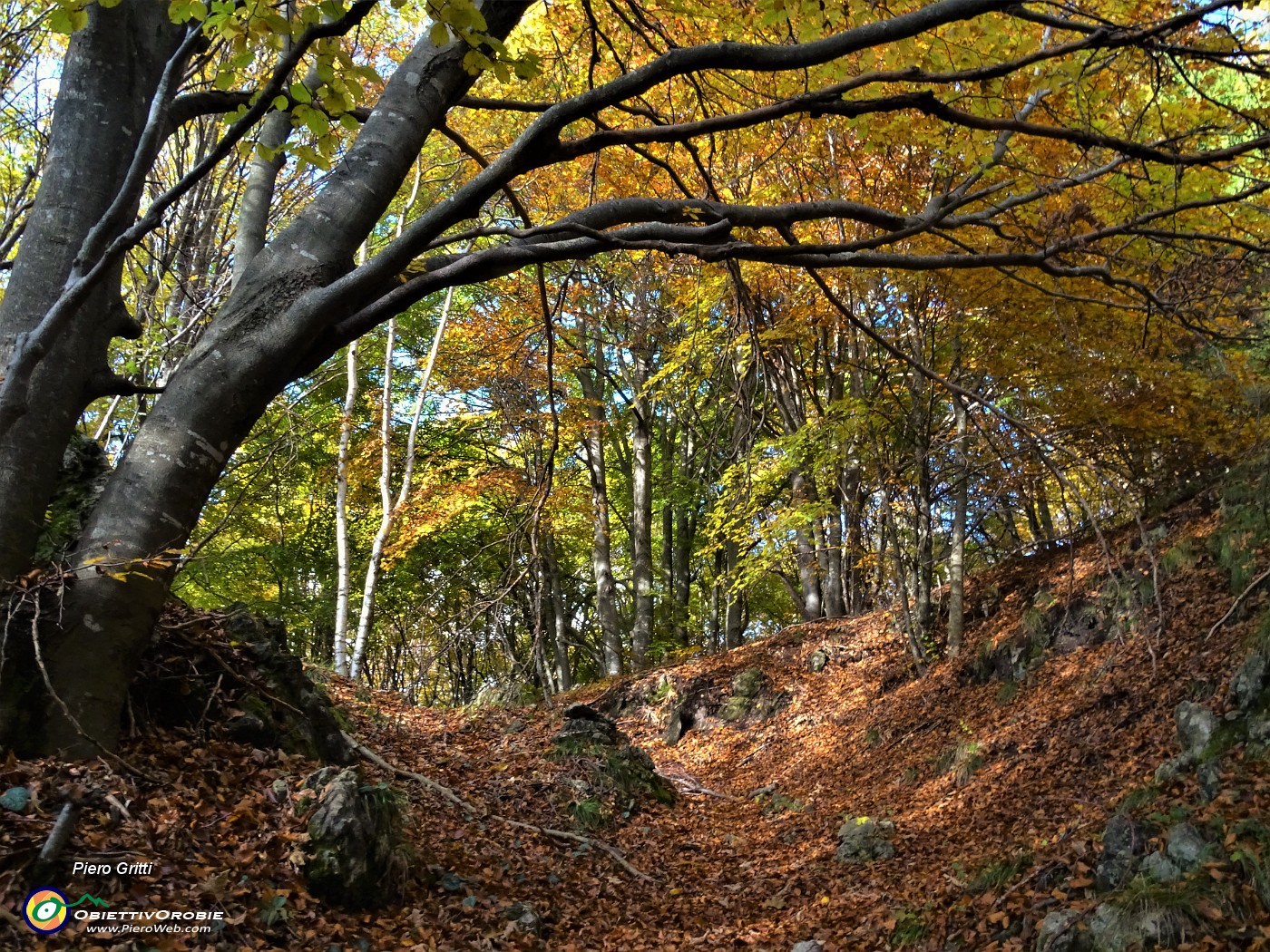 05 Esplosione dei colori d'autunno sul sent. 506 .JPG